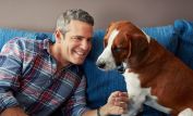 Andy Cohen