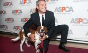 Andy Cohen