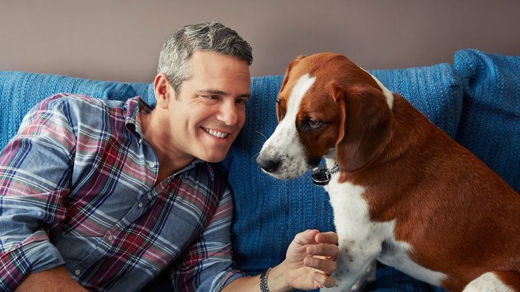 Andy Cohen