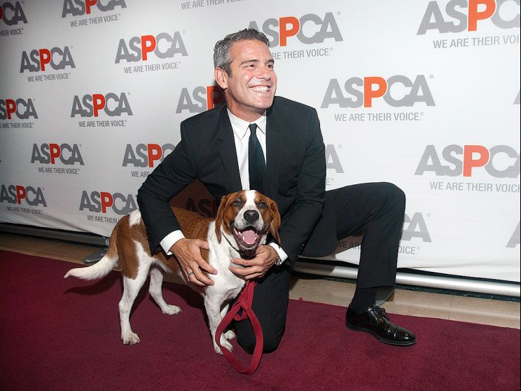 Andy Cohen