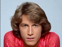 Andy Gibb