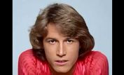 Andy Gibb