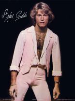 Andy Gibb