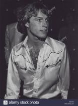 Andy Gibb