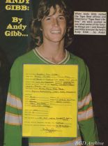 Andy Gibb