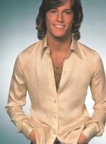 Andy Gibb