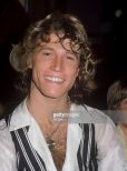 Andy Gibb