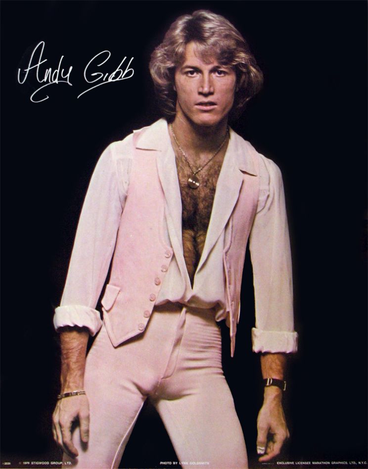 Browse and download High Resolution Andy Gibb's pictures