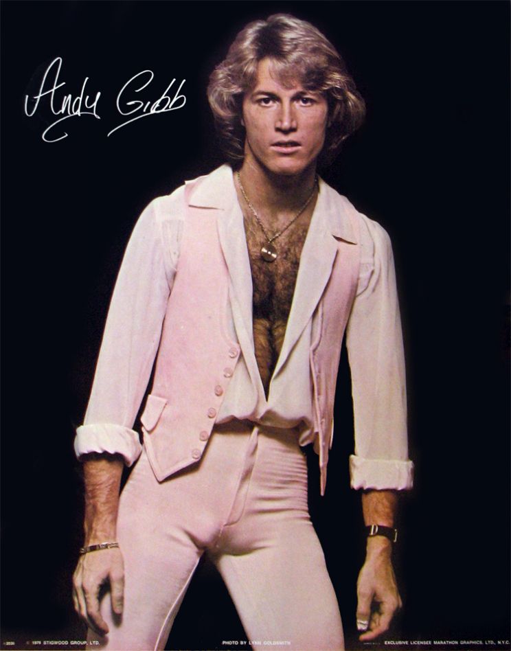 Andy Gibb