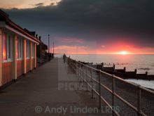 Andy Linden