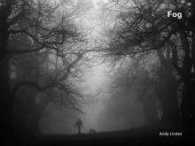Andy Linden