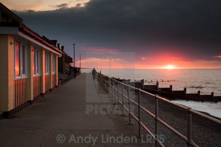 Andy Linden