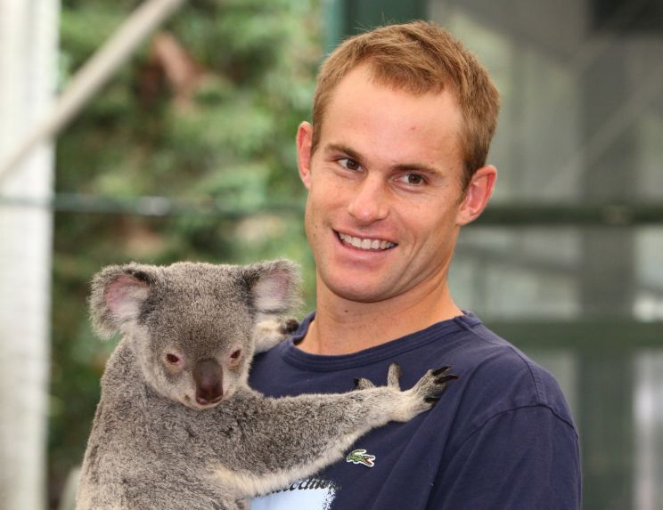 Andy Roddick