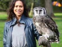 Angel Coulby #272905 picture (Landscape Medium)