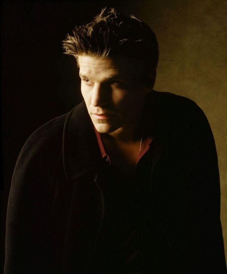 Angel David