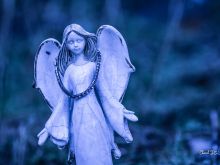 Angel Rain