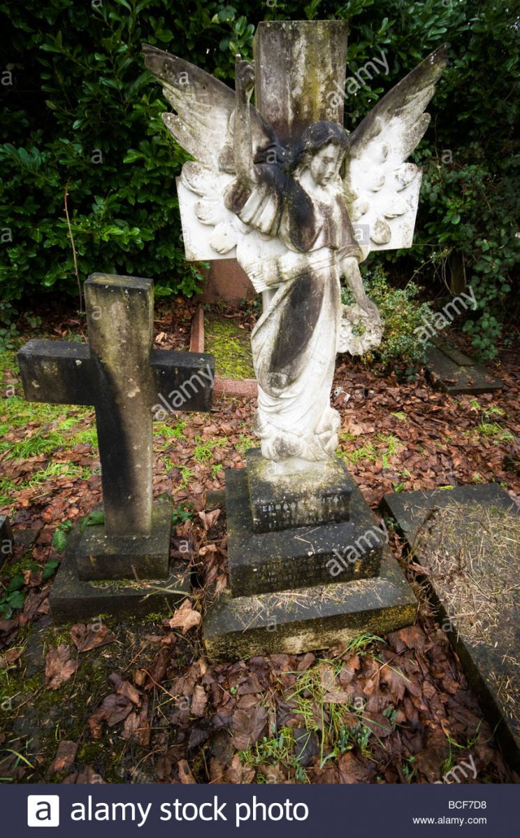 Angel West