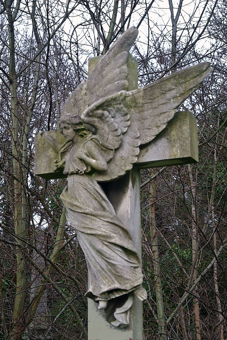 Angel West