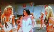 Angela Aames