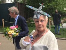 Angela Bruce