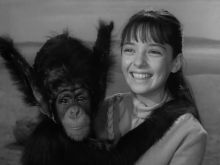 Angela Cartwright photo