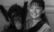 Angela Cartwright