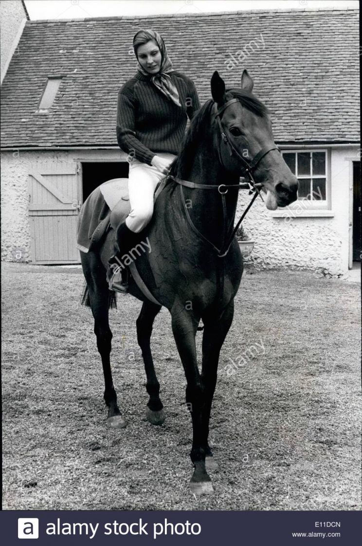 Angela Rippon