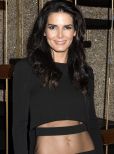 Angie Harmon