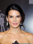 Angie Harmon