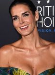 Angie Harmon