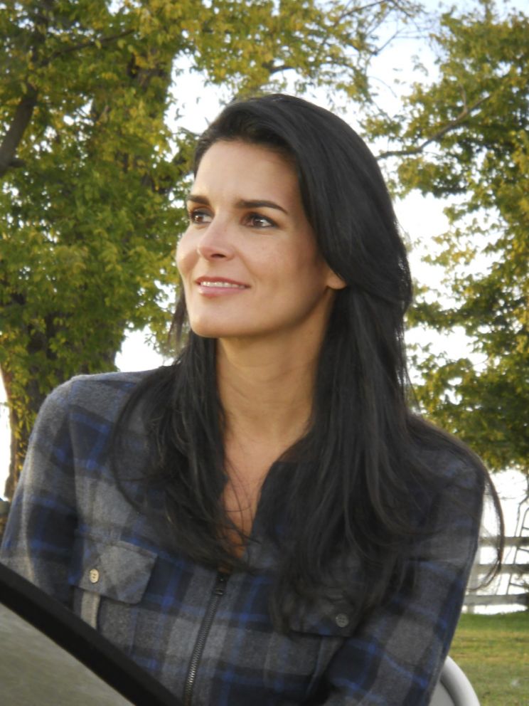 Angie Harmon