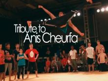 Anis Cheurfa
