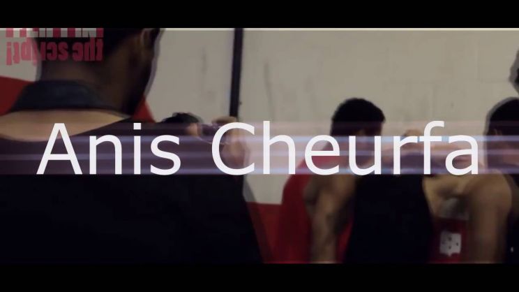 Anis Cheurfa