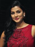 Anisha Ambrose