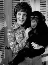 Anita Gillette