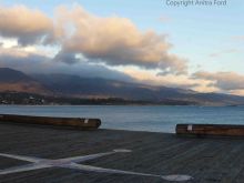 Anitra Ford photo