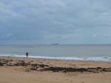 Ann Beach