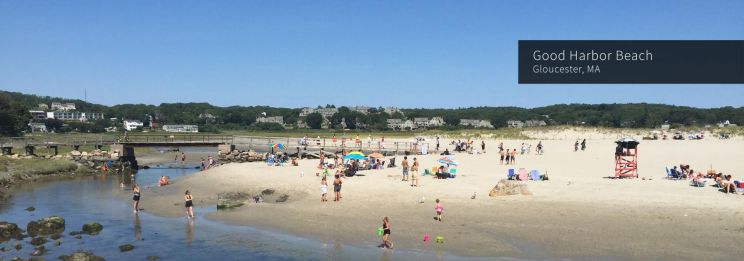 Ann Beach