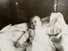 Ann Carter