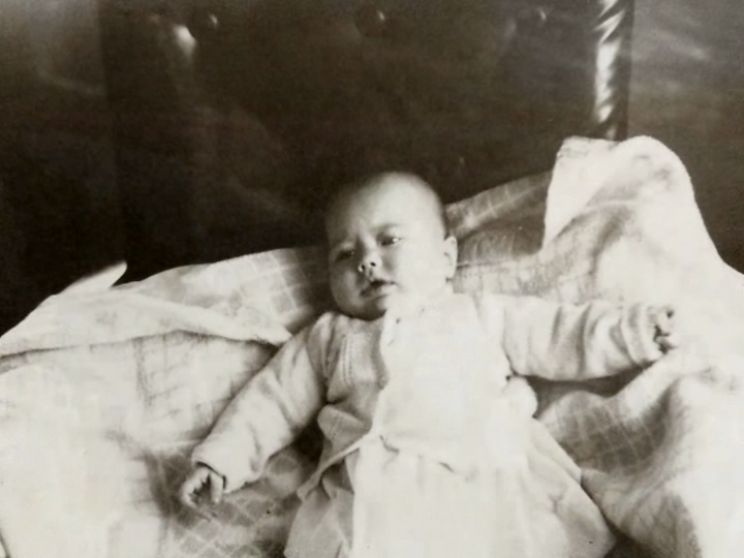 Ann Carter