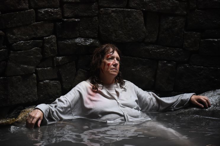 Ann Dowd