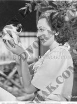 Ann Dvorak