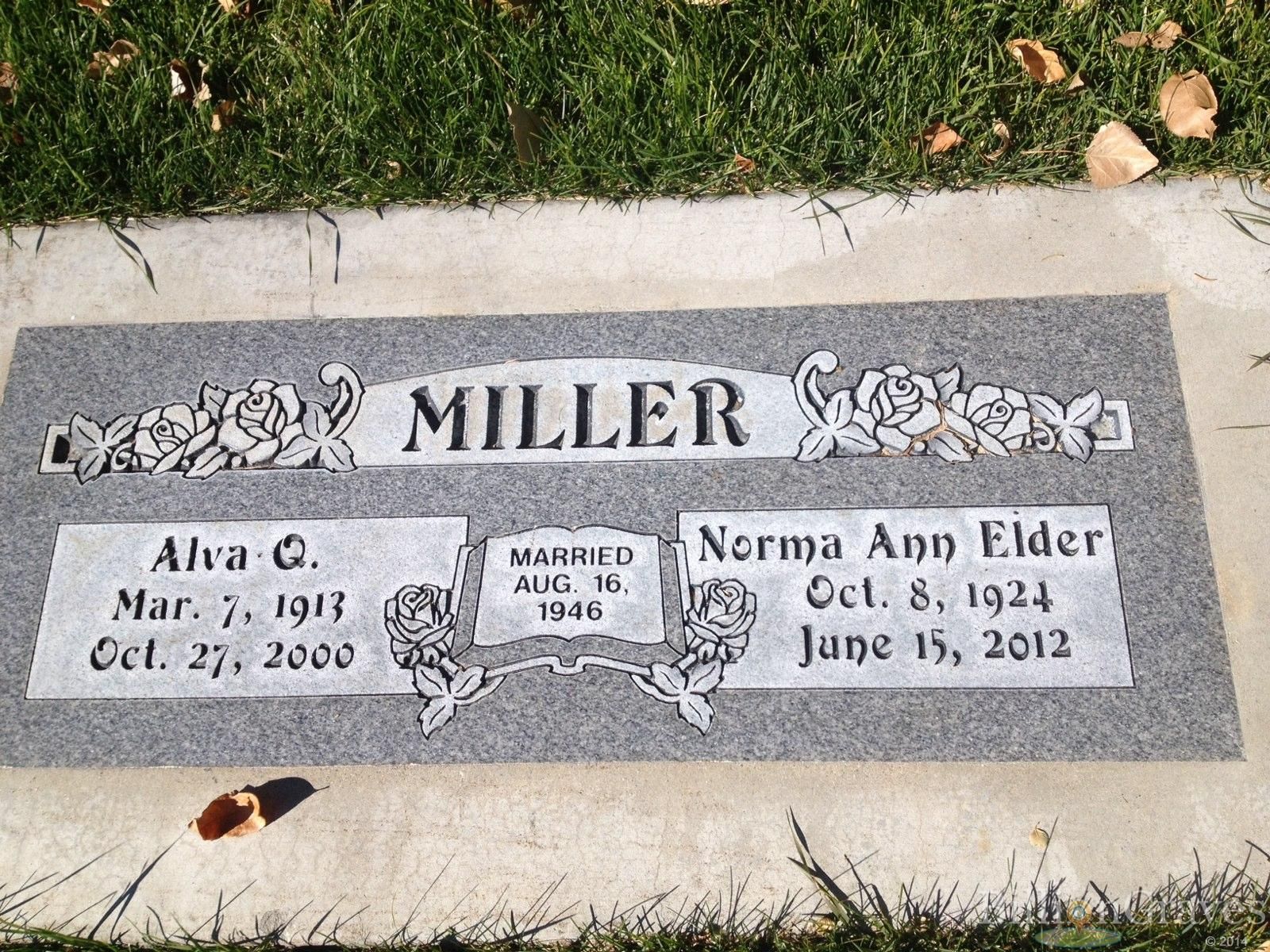 Pictures of Ann Elder