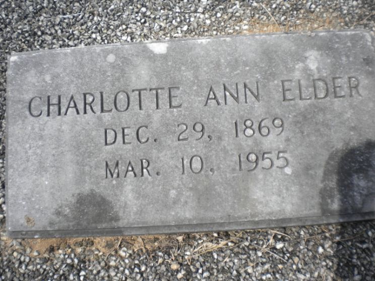 Ann Elder