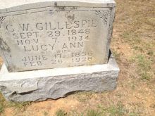 Ann Gillespie