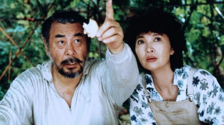 Ann Hui