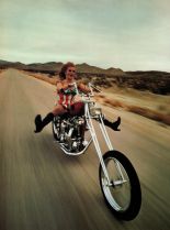 Ann-Margret #155348 picture (Portrait Medium)
