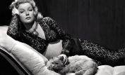 Ann Prentiss