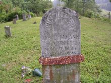 Ann Shoemaker