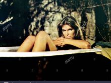 Ann Turkel